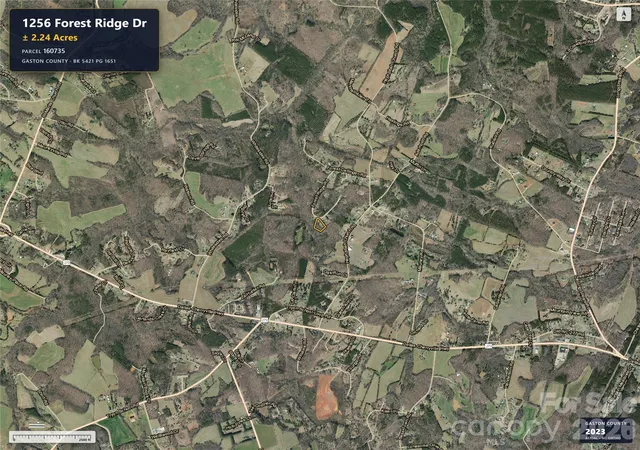 Photo 3 of Land for sale at 1256 Forest Ridge Dr, Bessemer City, NC 28016 | MLS# 4427594 | Listing updated on 2026-10-03