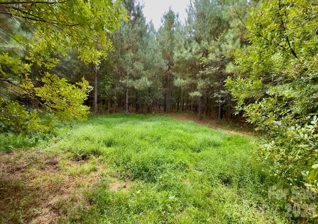 Photo 4 of Land for sale at 0 St Martin Rd, Albemarle, NC 28001 | MLS# 4427642 | Listing updated on 2026-10-14