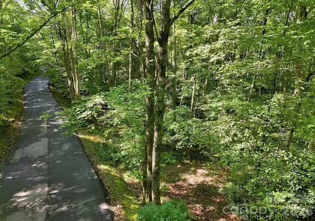 Photo 3 of Land for sale at 2619 Trays Is Rd, Sapphire, NC 28774 | MLS# 4427664 | Listing updated on 2026-10-03