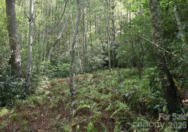 Photo 3 of Land for sale at 2619 Trays Is Rd, Sapphire, NC 28774 | MLS# 4427664 | Listing updated on 2026-10-03