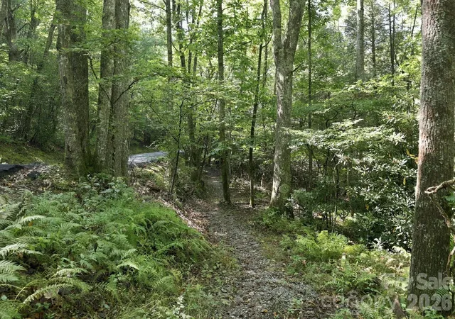 Photo 4 of Land for sale at 2619 Trays Is Rd, Sapphire, NC 28774 | MLS# 4427664 | Listing updated on 2026-10-03