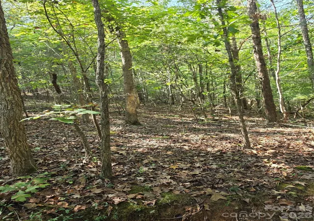 Photo 3 of Land for sale at 3249 York St, Sharon, SC 29742 | MLS# 4427916 | Listing updated on 2026-09-24