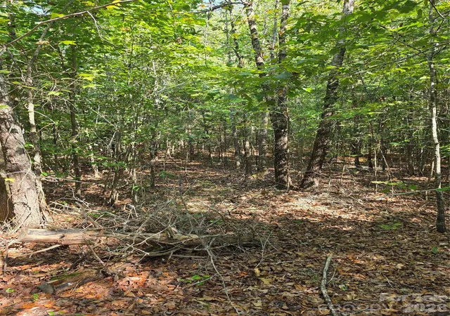 Photo 3 of Land for sale at 3249 York St, Sharon, SC 29742 | MLS# 4427916 | Listing updated on 2026-09-24