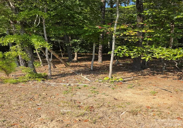 Photo 4 of Land for sale at 3249 York St, Sharon, SC 29742 | MLS# 4427916 | Listing updated on 2026-09-24