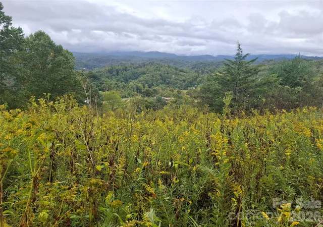 Photo 2 of Land for sale at 310 Sunset Mountain #11, Bakersville, NC 28705 | MLS# 4427978 | Listing updated on 2026-09-30