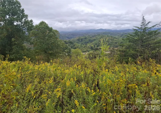 Photo 3 of Land for sale at 310 Sunset Mountain #11, Bakersville, NC 28705 | MLS# 4427978 | Listing updated on 2026-09-30