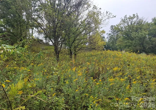 Photo 3 of Land for sale at 310 Sunset Mountain #11, Bakersville, NC 28705 | MLS# 4427978 | Listing updated on 2026-09-30