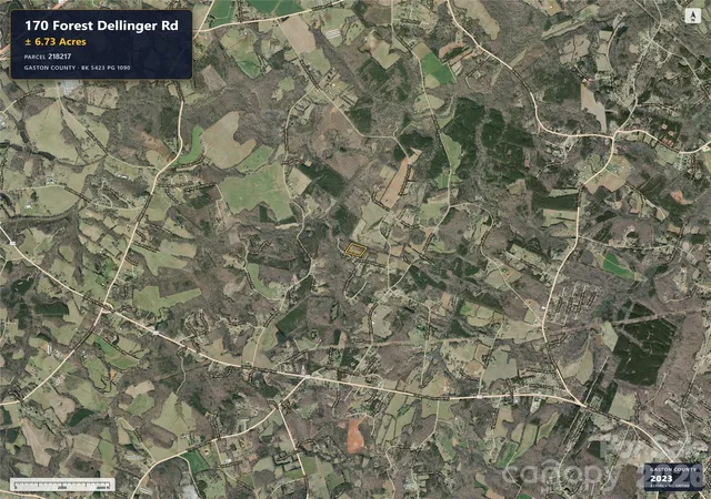 Photo 3 of Land for sale at 170 Forest Dellinger Rd, Bessemer City, NC 28016 | MLS# 4428001 | Listing updated on 2026-10-03