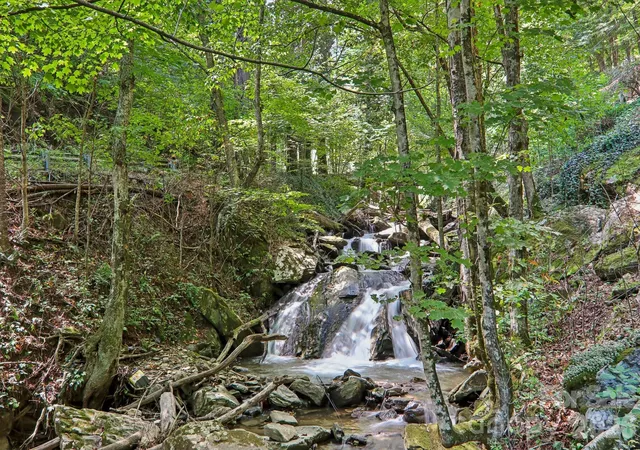 Photo 3 of Single family home for sale at 16 Wits End Way, Waynesville, NC 28785 | MLS# 4428017 | Listing updated on 2026-10-02