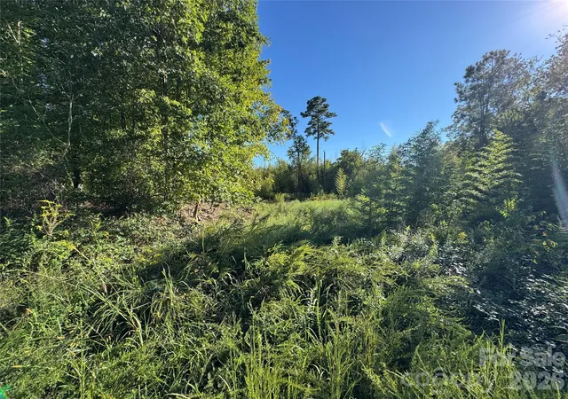 Photo 4 of Land for sale at 00 Old Hwy 52 W, Wadesboro, NC 28170 | MLS# 4428021 | Listing updated on 2026-10-02