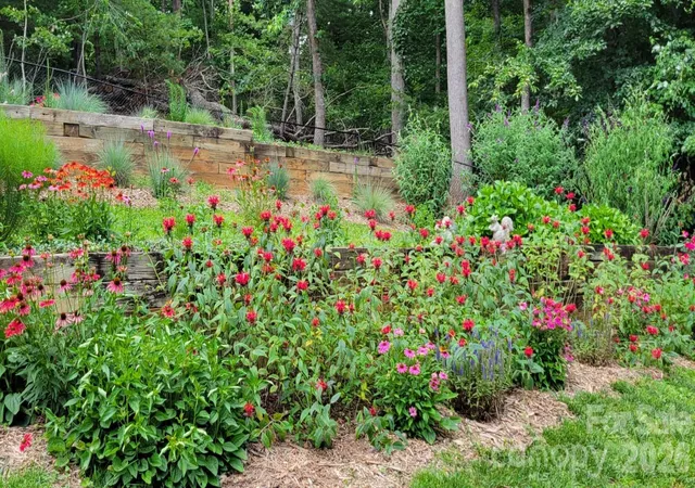 Photo 47 of Single family home for sale at 1000 Reems Cvs Rd, Marshall, NC 28753 | MLS# 4428034 | Listing updated on 2026-10-16