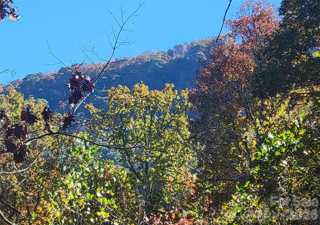 Photo 4 of Land for sale at 00 Quail Mountain Ln #23, Waynesville, NC 28786 | MLS# 4428056 | Listing updated on 2026-09-24