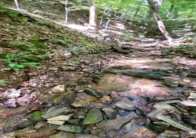 Photo 2 of Land for sale at 118 Crestline Dr, Marion, NC 28752 | MLS# 4428181 | Listing updated on 2026-09-28