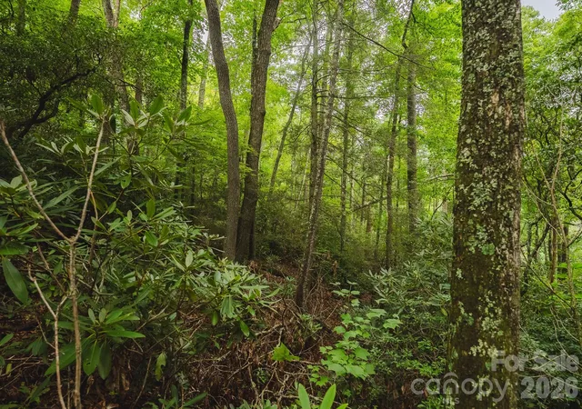 Photo 3 of Land for sale at Tbd Yankee Run, Marion, NC 28752 | MLS# 4428194 | Listing updated on 2026-09-29
