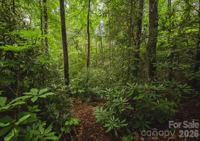 Photo 3 of Land for sale at Tbd Yankee Run, Marion, NC 28752 | MLS# 4428194 | Listing updated on 2026-09-29