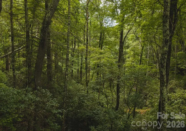 Photo 4 of Land for sale at Tbd Yankee Run, Marion, NC 28752 | MLS# 4428194 | Listing updated on 2026-09-29