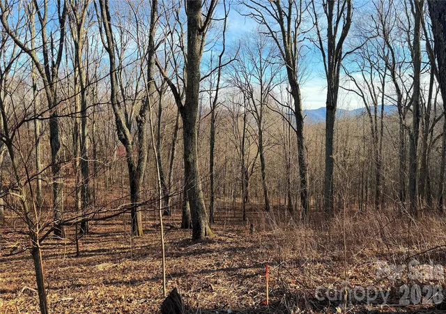 Photo 2 of Land for sale at 114 Eagle View Cir, Waynesville, NC 28786 | MLS# 4428244 | Listing updated on 2026-09-25
