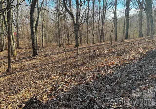 Photo 3 of Land for sale at 114 Eagle View Cir, Waynesville, NC 28786 | MLS# 4428244 | Listing updated on 2026-09-25