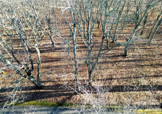 Photo 4 of Land for sale at 114 Eagle View Cir, Waynesville, NC 28786 | MLS# 4428244 | Listing updated on 2026-09-25