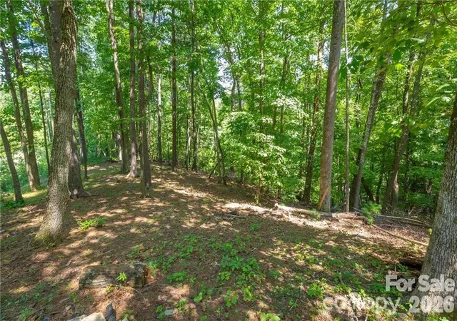 Photo 2 of Land for sale at 8520 Indian Tr, Nebo, NC 28761 | MLS# 4428254 | Listing updated on 2026-09-24