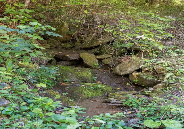 Photo 4 of Land for sale at 00 Mcnary Dr, Clyde, NC 28721 | MLS# 4428365 | Listing updated on 2026-10-02