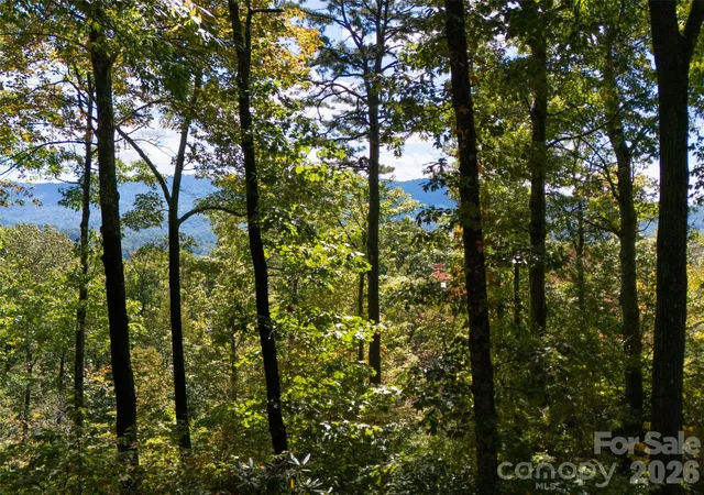 Photo 4 of Single family home for sale at 172 Clock Crst Dr, Pisgah Forest, NC 28768 | MLS# 4428630 | Listing updated on 2026-10-06