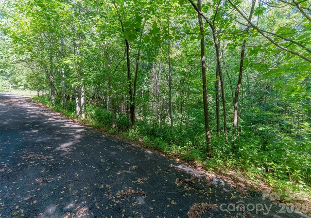 Photo 2 of Land for sale at Lot 177 Grafton, Mill Spring, NC 28756 | MLS# 4428676 | Listing updated on 2026-09-26