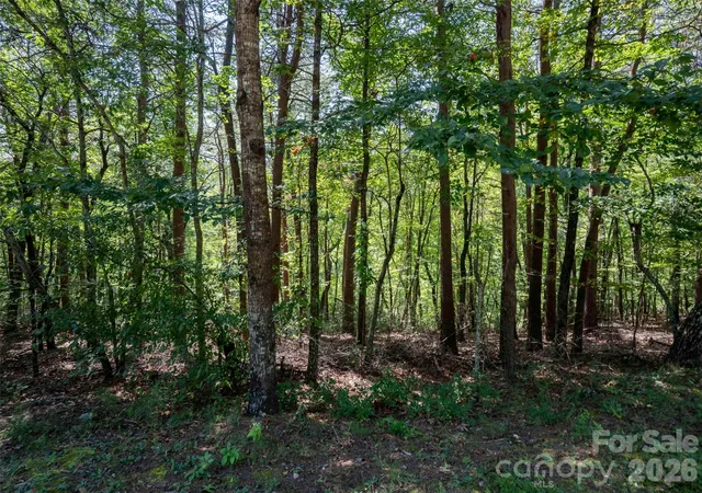 Photo 2 of Land for sale at Lot 2010 Deep Gap Farm W, Mill Spring, NC 28756 | MLS# 4428685 | Listing updated on 2026-09-26