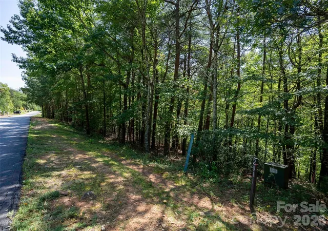 Photo 3 of Land for sale at Lot 2010 Deep Gap Farm W, Mill Spring, NC 28756 | MLS# 4428685 | Listing updated on 2026-09-26