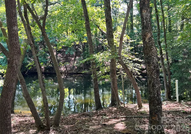 Photo 4 of Land for sale at Vac Brightwood Ct #80, Norwood, NC 28128 | MLS# 4428701 | Listing updated on 2026-10-06