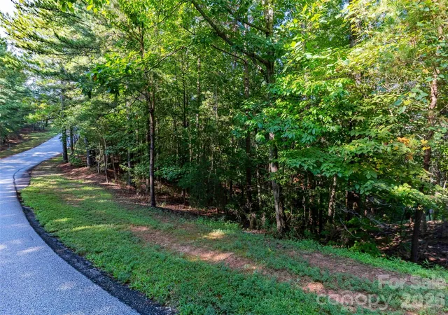 Photo 2 of Land for sale at 0 Deep Gap Farm Dr E #34, Mill Spring, NC 28756 | MLS# 4428736 | Listing updated on 2026-09-26