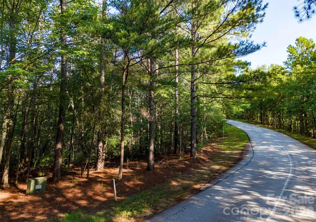Photo 3 of Land for sale at 0 Deep Gap Farm Dr E #34, Mill Spring, NC 28756 | MLS# 4428736 | Listing updated on 2026-09-26