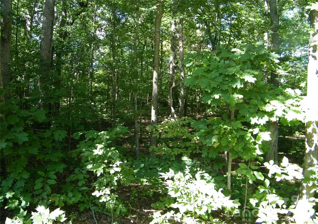 Photo 1 of Land for sale at 0 Chippewa Trl, China Grove, NC 28023 | MLS# 4428744 | Listing updated on 2026-10-07