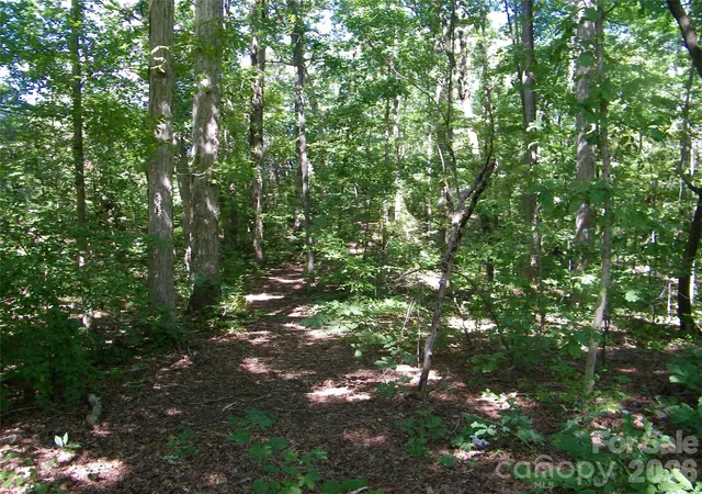 Photo 3 of Land for sale at 0 Chippewa Trl, China Grove, NC 28023 | MLS# 4428744 | Listing updated on 2026-10-07