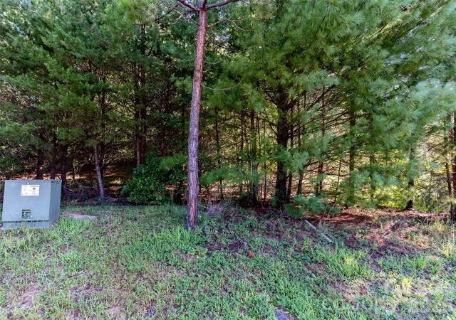 Photo 1 of Land for sale at 0 Elkton Ct W #138, Mill Spring, NC 28756 | MLS# 4428750 | Listing updated on 2026-09-26