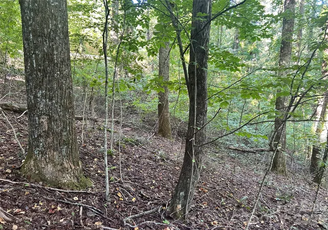 Land for sale at 573 Solomon Cir, Hendersonville, NC 28739 | MLS# 4428773