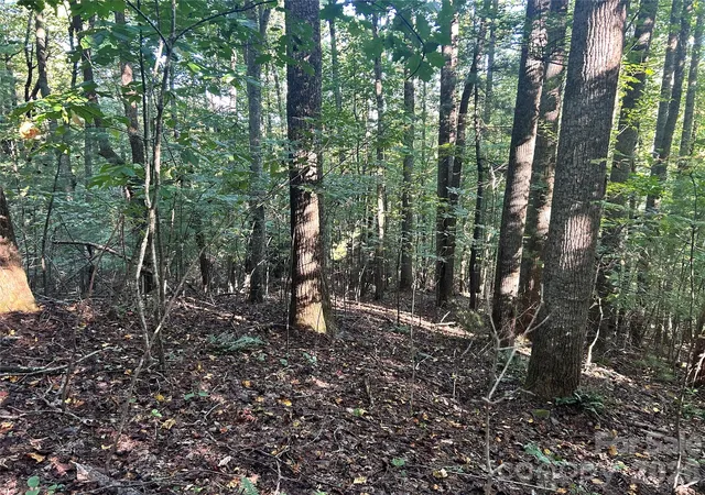 Land for sale at Tbd Mt Hebron Rd #36, Hendersonville, NC 28739 | MLS# 4428776