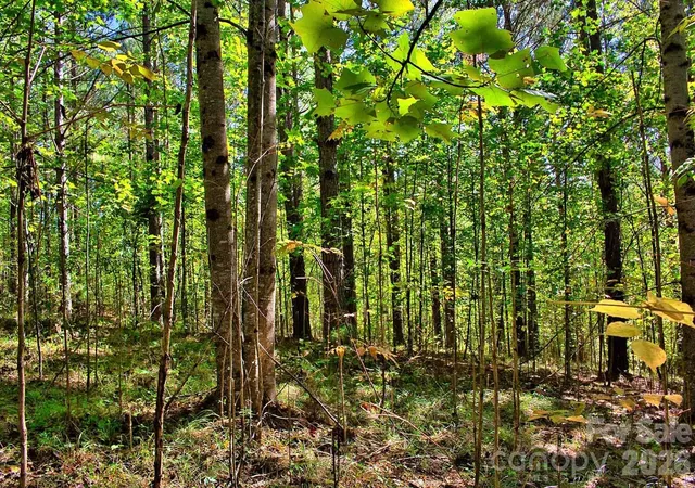 Photo 2 of Land for sale at 0 Knightsbridge Cir #27, Union Mills, NC 28167 | MLS# 4428936 | Listing updated on 2026-09-26