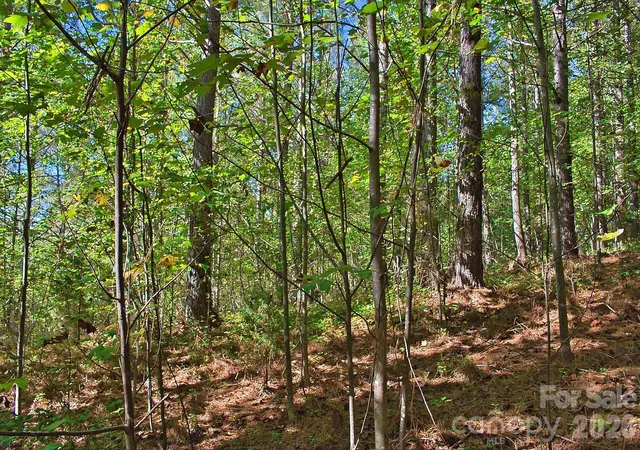 Photo 3 of Land for sale at 0 Knightsbridge Cir #27, Union Mills, NC 28167 | MLS# 4428936 | Listing updated on 2026-09-26