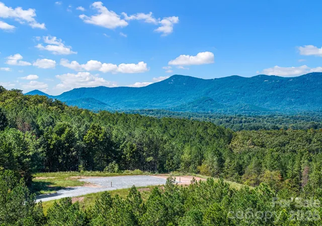 Photo 2 of Land for sale at Tbd Williams Loop, Columbus, NC 28722 | MLS# 4429092 | Listing updated on 2026-10-06