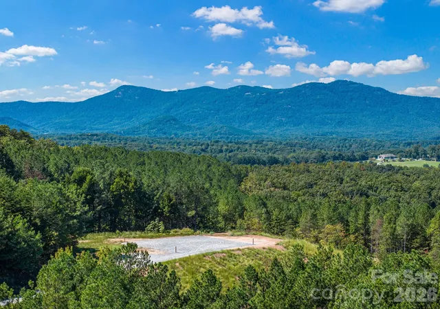 Photo 4 of Land for sale at Tbd Williams Loop, Columbus, NC 28722 | MLS# 4429092 | Listing updated on 2026-10-06