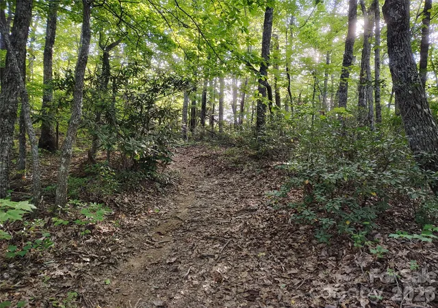 Photo 3 of Land for sale at 0000 Cheyenne Fls Trl #62, Old Fort, NC 28762 | MLS# 4429110 | Listing updated on 2026-09-30