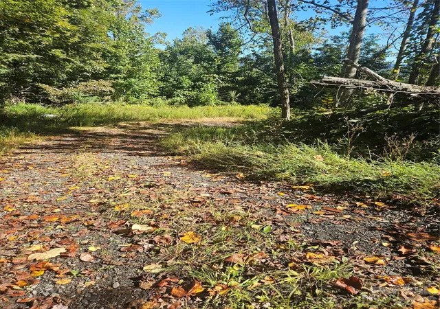 Photo 2 of Land for sale at 00 White Oak Rd, Bakersville, NC 28705 | MLS# 4429129 | Listing updated on 2026-09-28