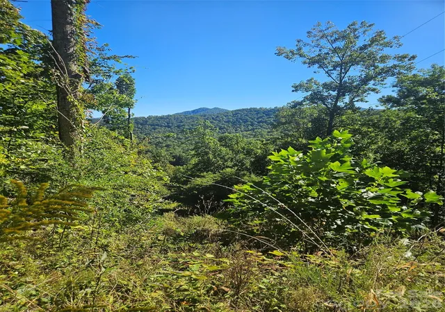 Photo 3 of Land for sale at 00 White Oak Rd, Bakersville, NC 28705 | MLS# 4429129 | Listing updated on 2026-09-28