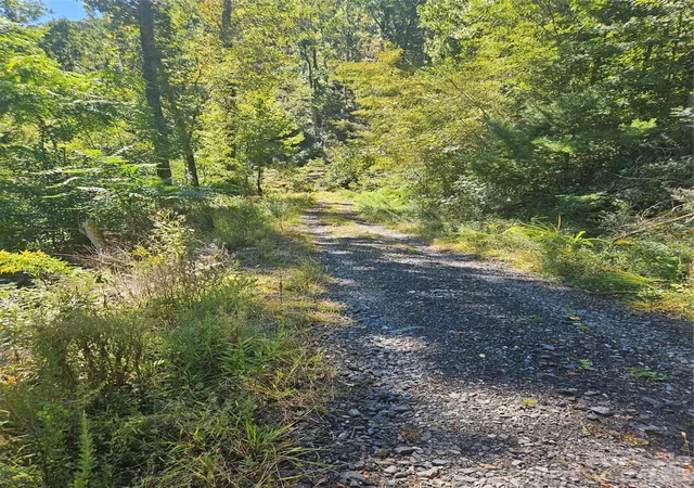 Photo 3 of Land for sale at 00 White Oak Rd, Bakersville, NC 28705 | MLS# 4429129 | Listing updated on 2026-09-28