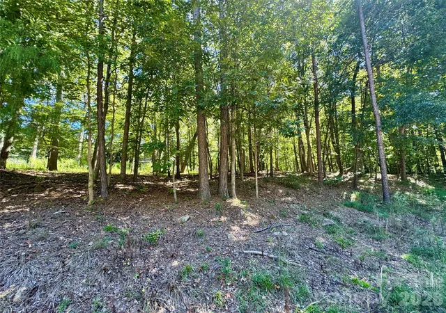 Photo 1 of Land for sale at 10062 Southwinds Dr, Fort Mill, SC 29707 | MLS# 4429236 | Listing updated on 2026-09-28
