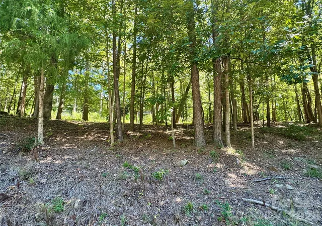 Photo 2 of Land for sale at 10062 Southwinds Dr, Fort Mill, SC 29707 | MLS# 4429236 | Listing updated on 2026-09-28