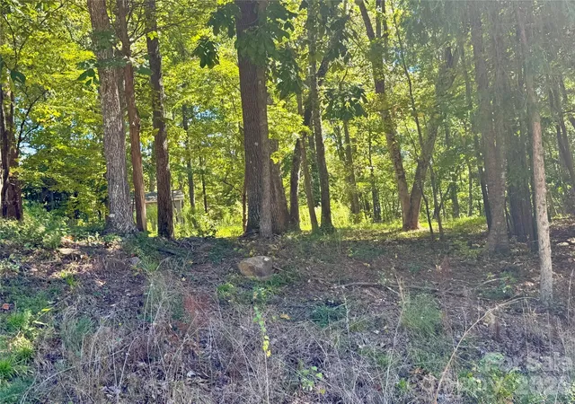 Photo 3 of Land for sale at 10062 Southwinds Dr, Fort Mill, SC 29707 | MLS# 4429236 | Listing updated on 2026-09-28