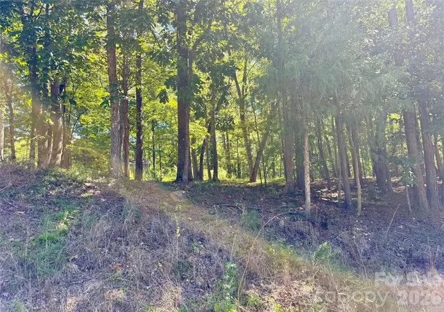 Photo 3 of Land for sale at 10062 Southwinds Dr, Fort Mill, SC 29707 | MLS# 4429236 | Listing updated on 2026-09-28