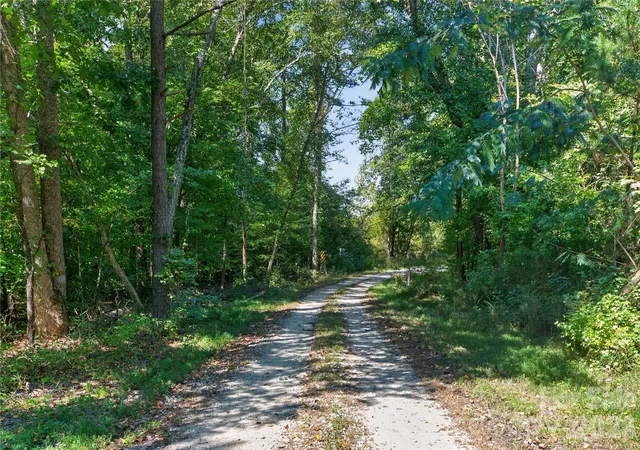 Photo 2 of Land for sale at 0000 Narrow Brg Rd #1, Chester, SC 29706 | MLS# 4429256 | Listing updated on 2026-10-06